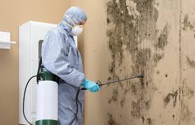 Best Residential Mold Inspection & Testing  in West View, PA